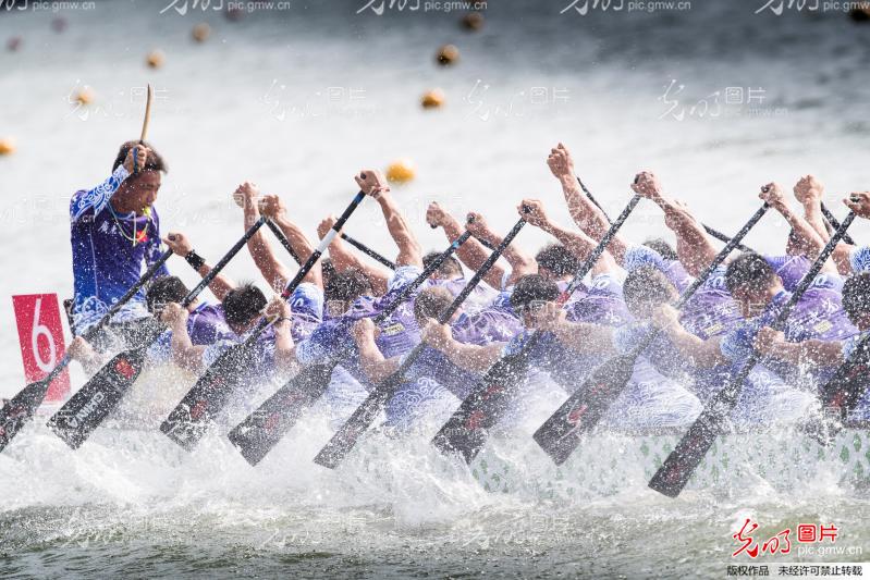 湖南龍船比賽視頻觀看與體驗(yàn)指南，精彩瞬間一網(wǎng)打盡！