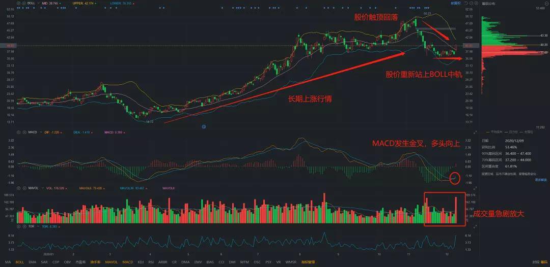 歌爾股票，小巷深處的隱藏寶藏揭秘，特色小店的股市奇妙之旅