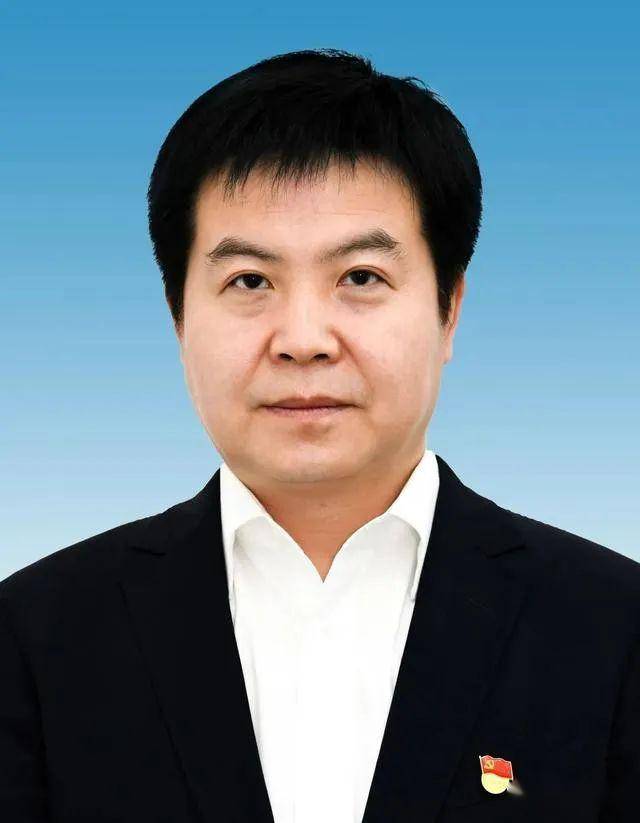 陜西人事任命最新動態(tài)揭秘，人事任命步驟指南