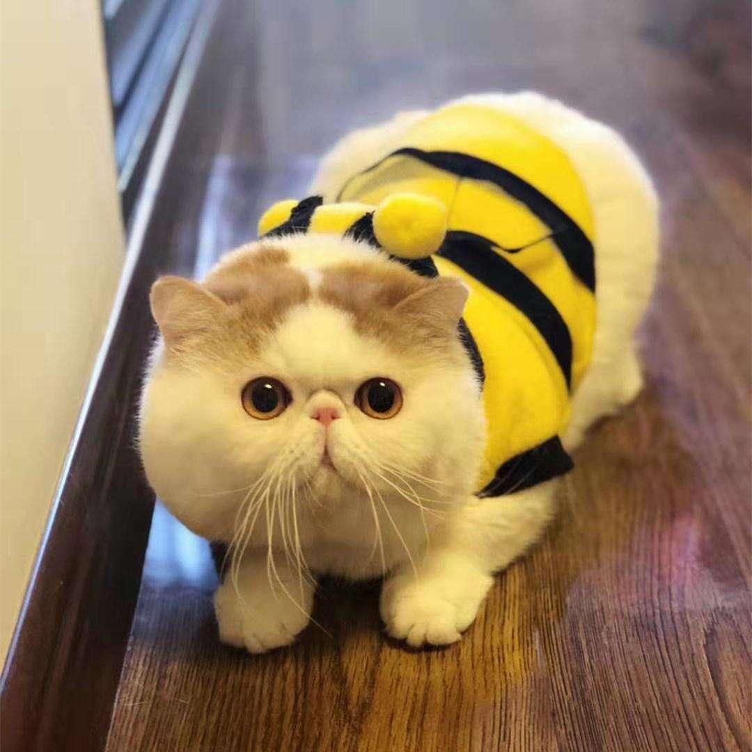 辦公打印 第264頁(yè)