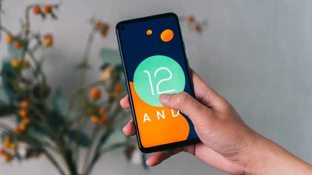 安卓最新系統(tǒng)版本，探索未來(lái)科技的無(wú)限潛力