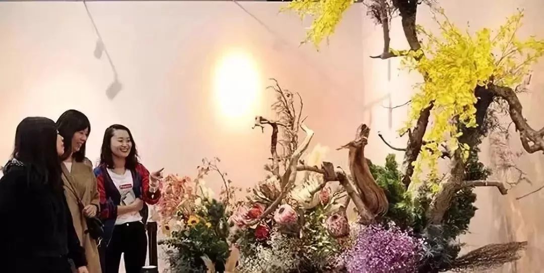 納蘭靜語(yǔ)最新現(xiàn)代作品——智能生活新紀(jì)元，科技重塑未來(lái)體驗(yàn)的魅力