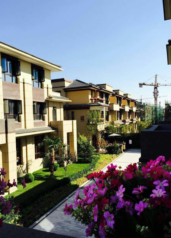 寶格麗小鎮(zhèn)最新資訊，學習變化，自信閃耀，共創(chuàng)美好未來成就