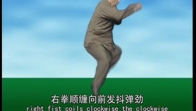 太極最新版本下載，時(shí)代技術(shù)結(jié)晶，全新體驗(yàn)等你來(lái)探索