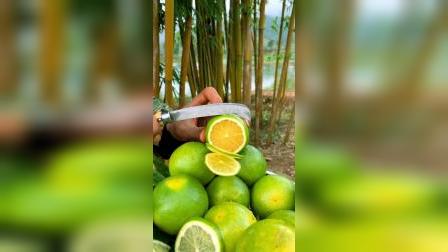 平湖最新資訊，城市脈動與成長見證