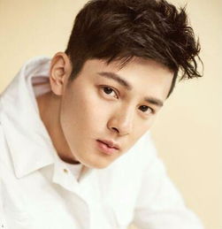 方齊苗最新個(gè)人資料揭秘，個(gè)人信息獲取與整理步驟指南