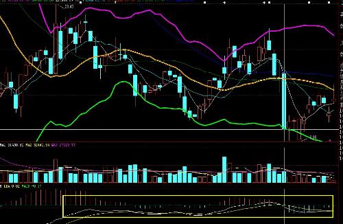 波動(dòng)行情與內(nèi)心寧?kù)o的探索之旅，自然美景下的心靈對(duì)話
