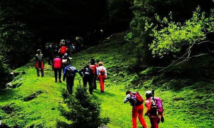 最新后峽動(dòng)態(tài),最新后峽動(dòng)態(tài)，發(fā)展與變化的深度探索