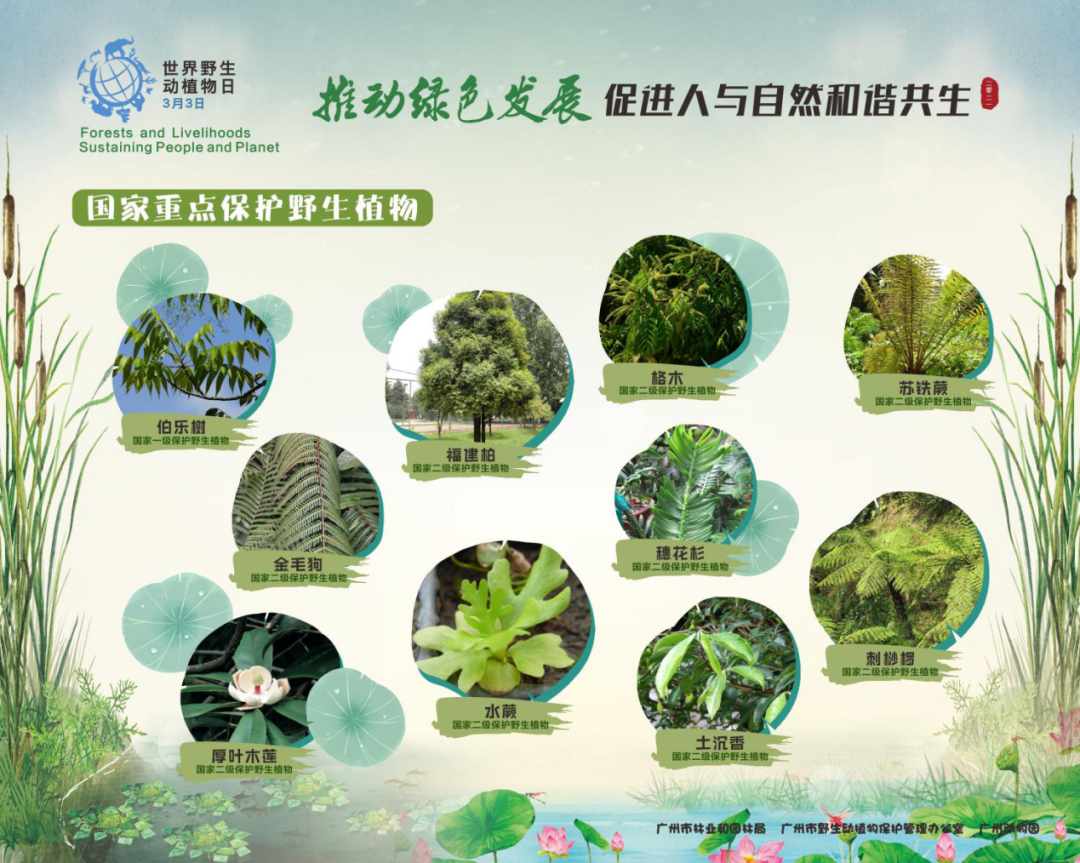 ＂0149開獎澳門網＂的：植物保護_見證版3.37