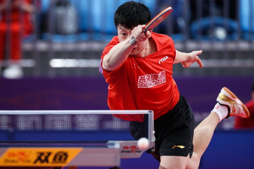 中國乒乓球明星的奮斗與榮耀，見證自信成就的力量之路