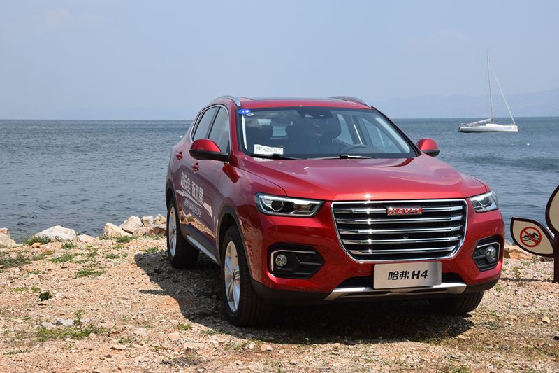 哈佛最新，自然美景治愈之旅探索