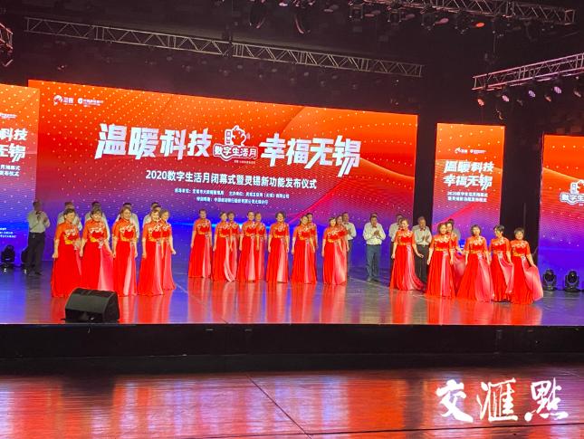 時(shí)代背景下的軟件崛起之旅，最新靈錫下載