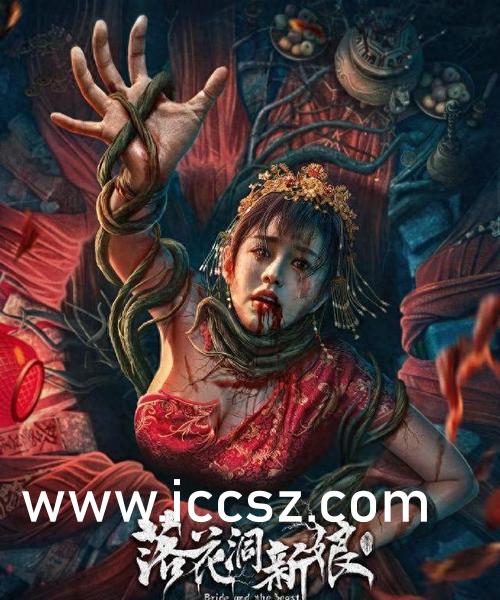 Seso最新資訊詳解，獲取與理解步驟指南