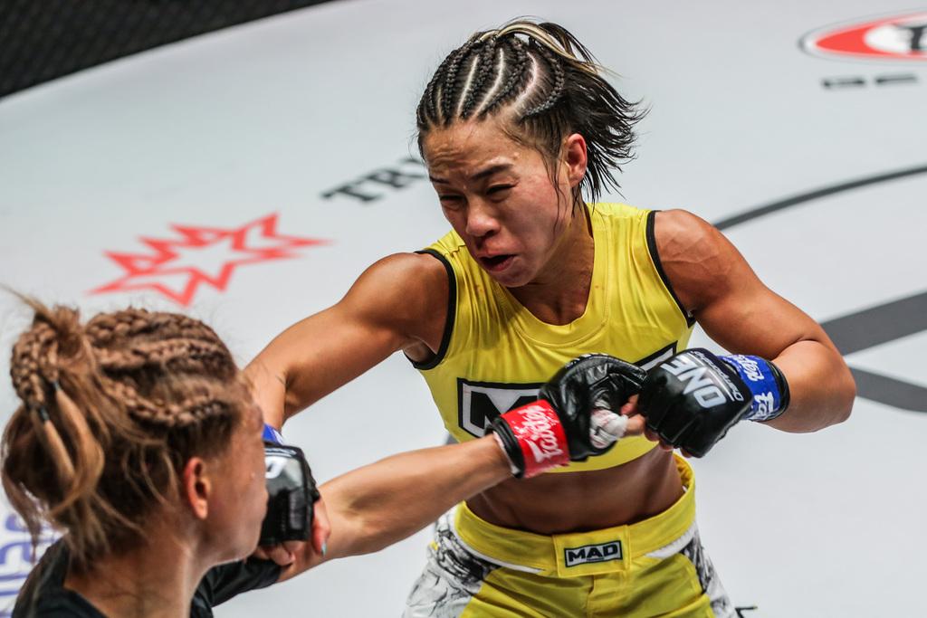 綜合格斗比賽，自然美景中的精神之旅對決