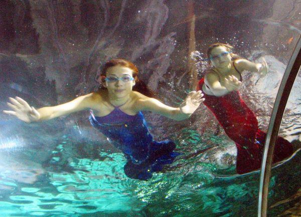 ＂2004新澳精準(zhǔn)資料免費(fèi)＂的：統(tǒng)計(jì)信息解析說明_榮耀版8.68