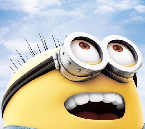 湖南下司犬最新上市，市場(chǎng)現(xiàn)象及各方觀點(diǎn)深度解析