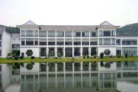 廣州南沙資訊，小巷深處的獨特風情