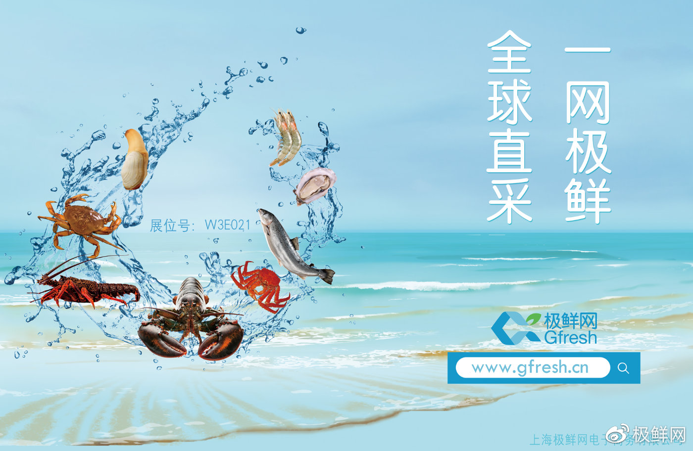 鮮網最新觀點闡述與深度解析