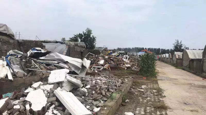 楊鎮(zhèn)拆遷最新動(dòng)態(tài)，科技引領(lǐng)重塑，開(kāi)啟拆遷新篇章體驗(yàn)