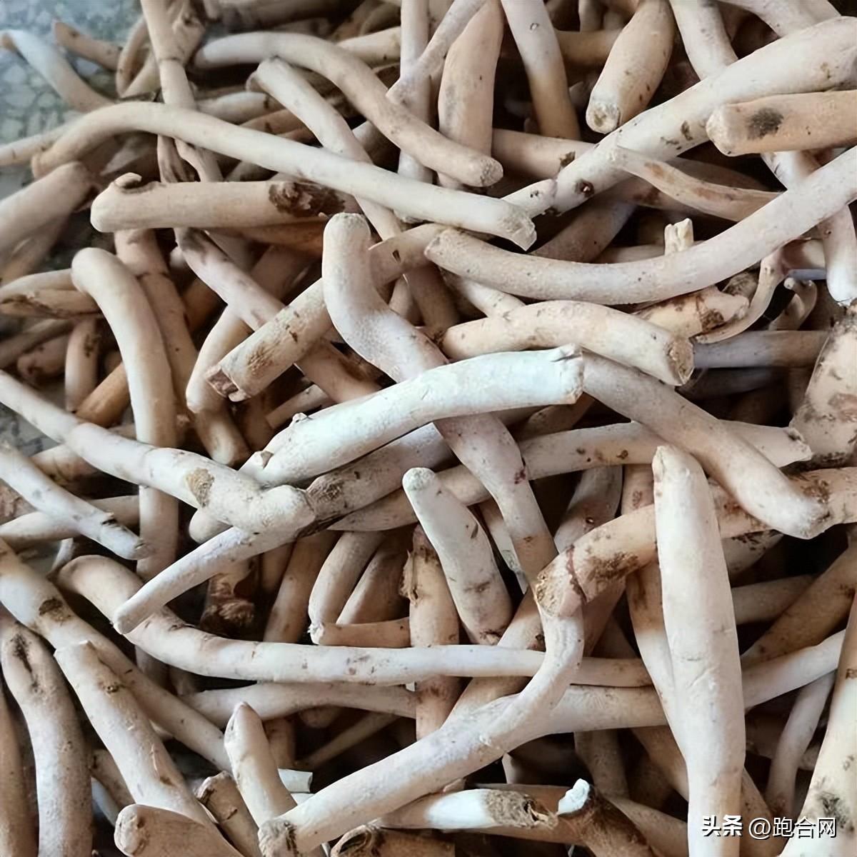 毫州藥材最新價格表，學(xué)習(xí)變化，成就自信之源