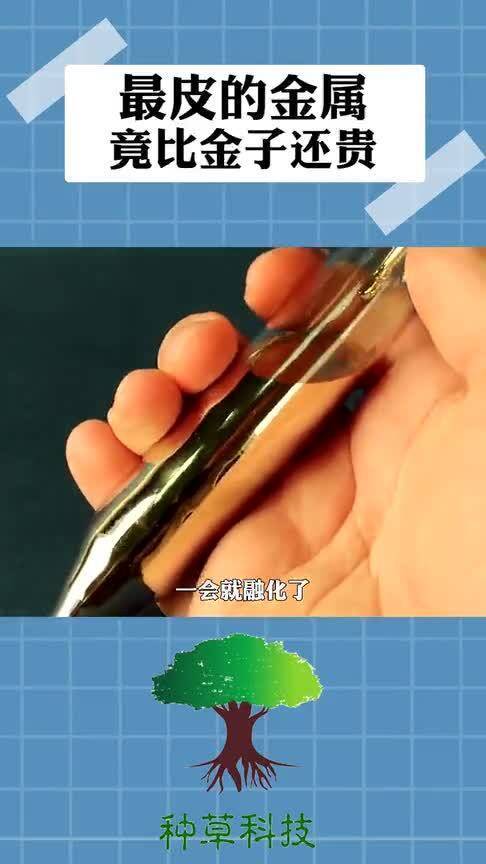 貴重金屬行情深度解析，市場(chǎng)趨勢(shì)與影響因素探討