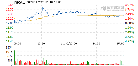 福鞍股票,福鞍股票——投資者的明智之選，開啟財富新篇章！