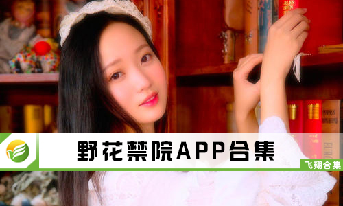 野花最新網(wǎng)址，網(wǎng)絡時代的獨特風景探索