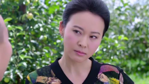 雙喜盈門(mén)演員，星光熠熠下的演技璀璨展現(xiàn)