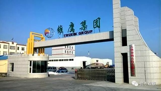 雛鷹農(nóng)牧最新動態(tài)，變革中的力量與自信成就感的崛起