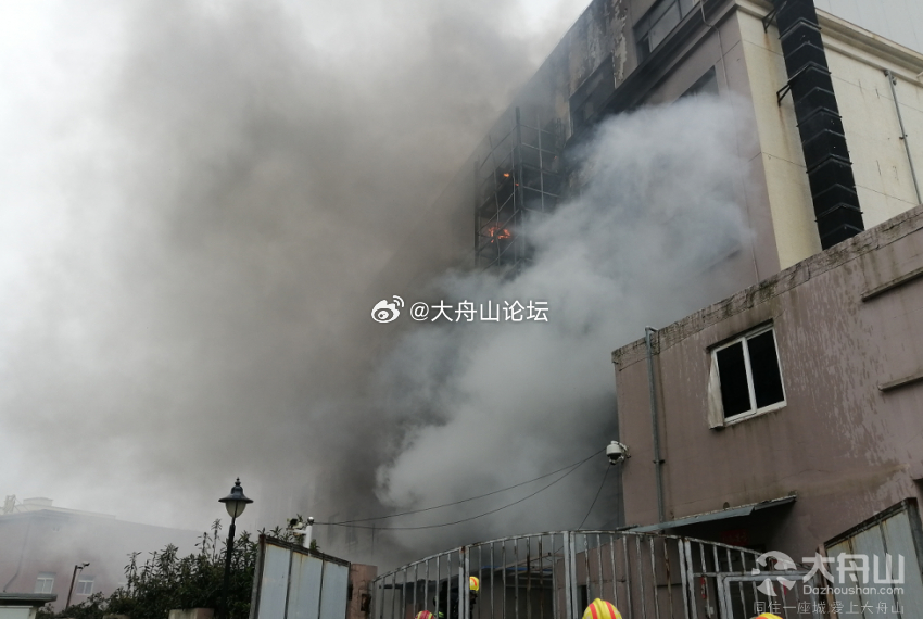 舟山火災(zāi)最新動(dòng)態(tài)，小巷深處的獨(dú)特?zé)熁鹞C(jī)