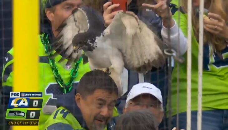 比賽吉祥物，自信與成就感的象征標(biāo)志