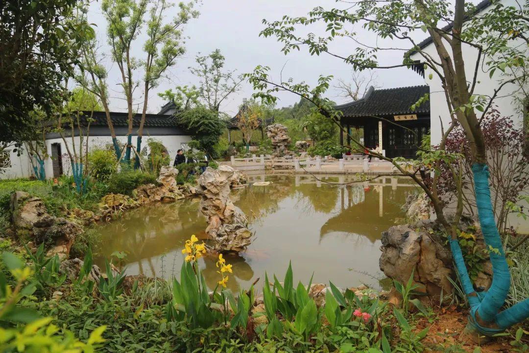 南寧園搏園最新動(dòng)態(tài)揭秘，游園攻略與技能學(xué)習(xí)指南