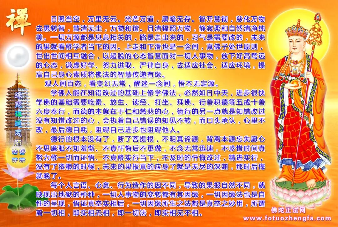 最新佛法開(kāi)示揭秘，小巷深處的禪意寶藏探尋