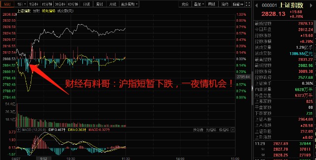 財?shù)佬星榉治雠c操作指南，初學者與進階用戶的必備指南