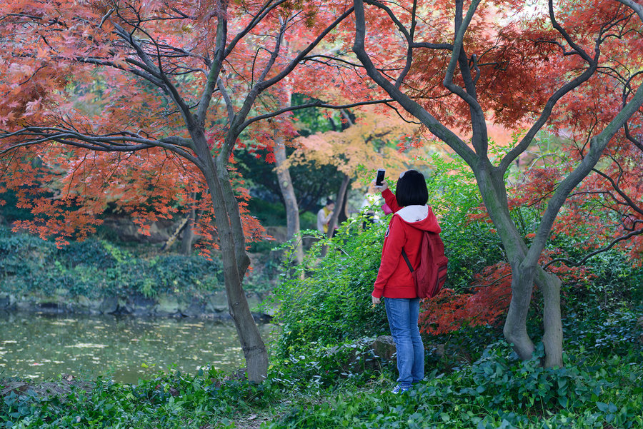 秋霞精選，電影藝術(shù)的獨特魅力及其深遠(yuǎn)影響