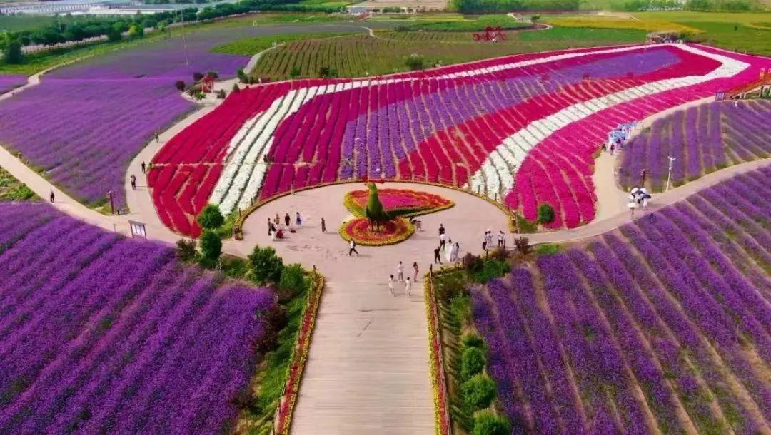 今日白銀市場動(dòng)態(tài)概覽