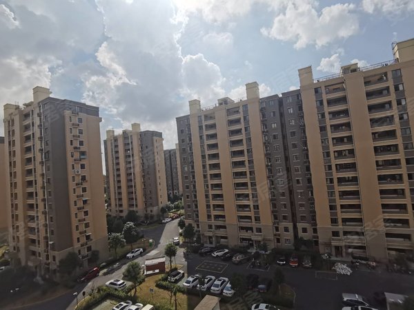 佘山松和苑最新動態(tài)，全面了解與掌握最新資訊