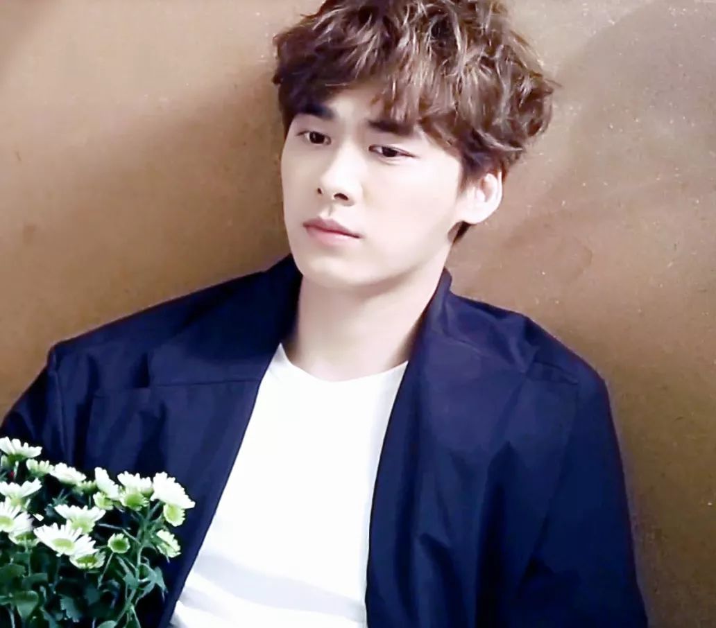 有耳鳴的明星,有耳鳴的明星，探索自然美景之旅，尋找內(nèi)心的寧靜與平和