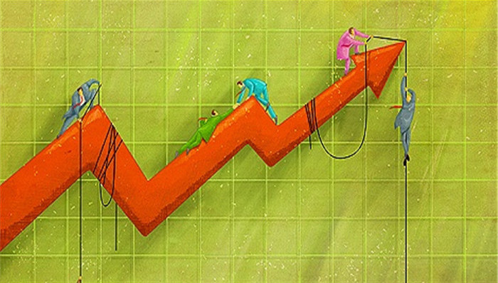 證金公司股票動(dòng)態(tài),證金公司股票動(dòng)態(tài)，一場(chǎng)自然美景的探索之旅