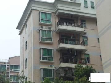 福田區(qū)二手房最新市場價,福田區(qū)二手房最新市場價，一場探索自然美景的旅行