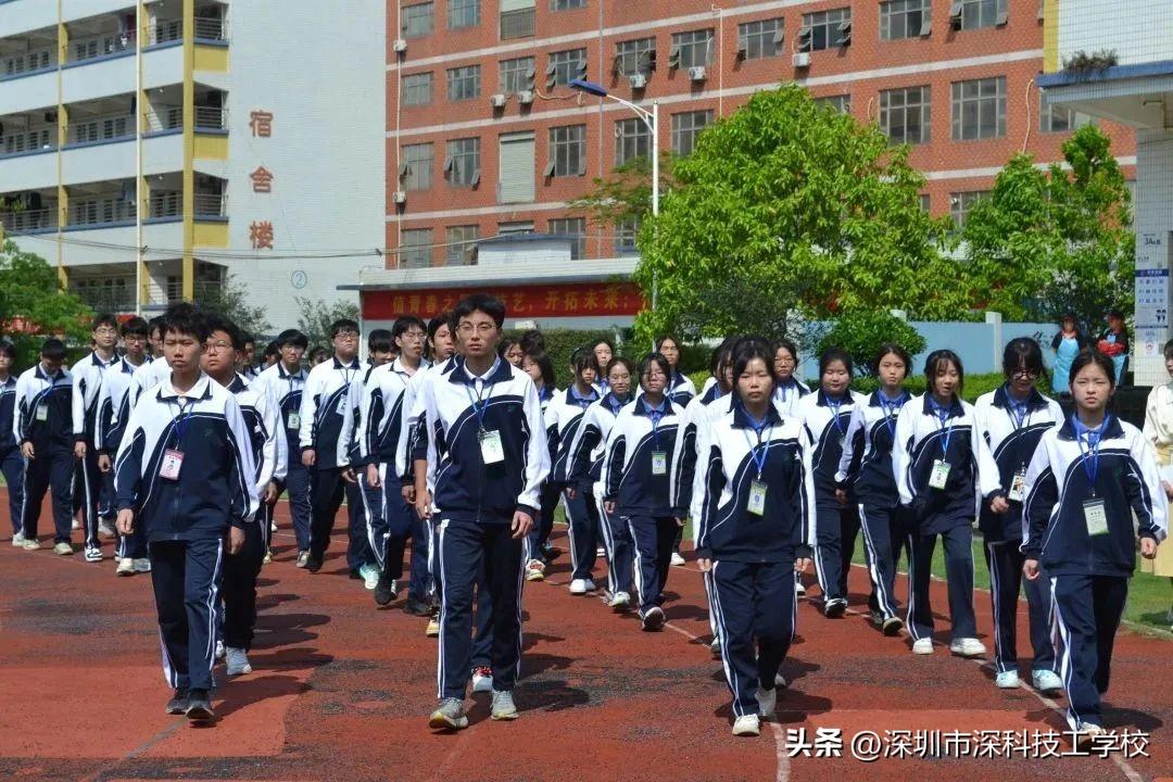 深寶安股票行情解析，前景分析與投資洞察