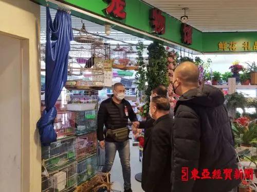 探索自然美景之旅，揭秘2017鷯哥銷售最新資訊，尋找內(nèi)心的平靜與喜悅