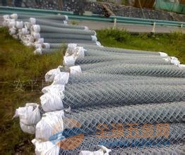 邊坡綠化網(wǎng)價格，時代變遷與行業(yè)進步的影響