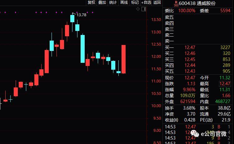 股票逆襲之路，開啟財(cái)富人生的新篇章從底部開始！