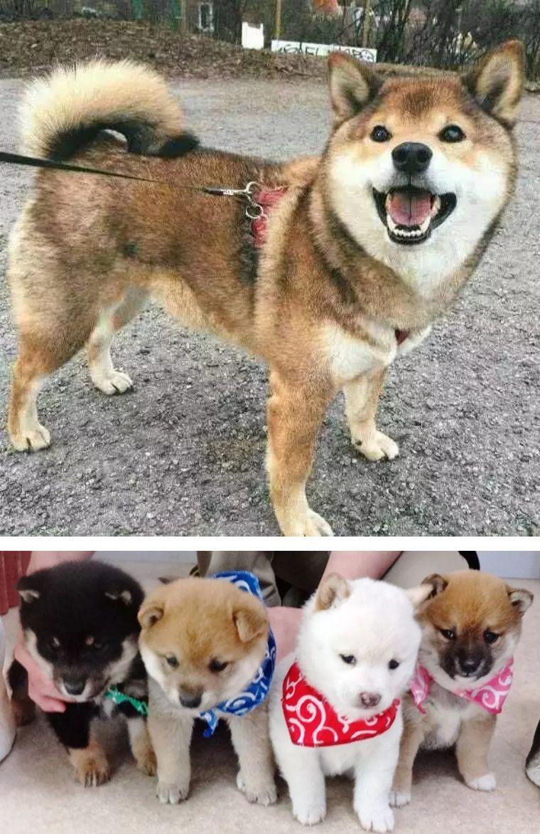 東京時尚風(fēng)向標，探索日本最新潮流資訊