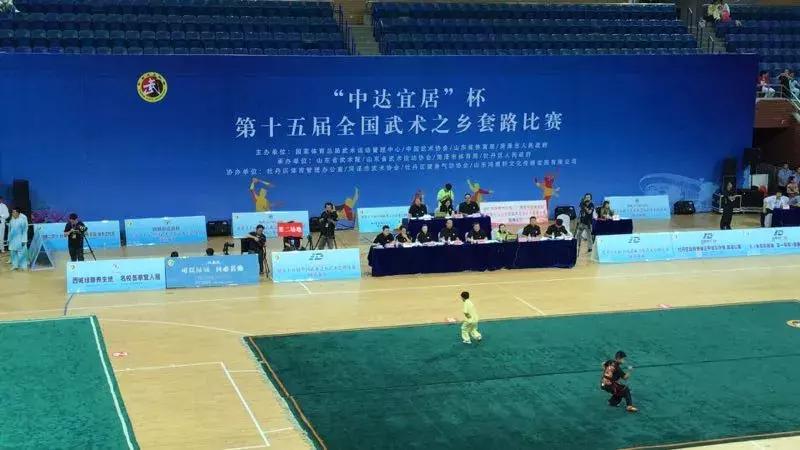 山東武術(shù)大賽，傳承與榮耀的盛宴，展現(xiàn)武術(shù)風(fēng)采的盛事！