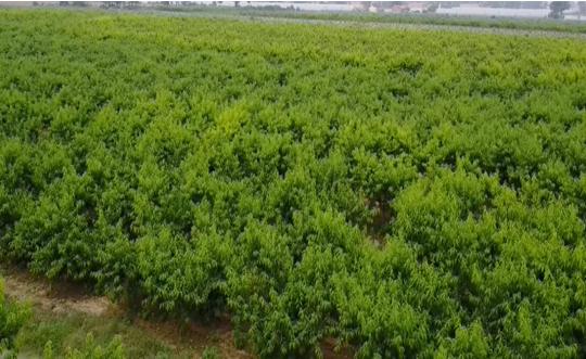 富平最新轉讓信息，變化中的機遇，成就感的源泉，自信閃耀時刻