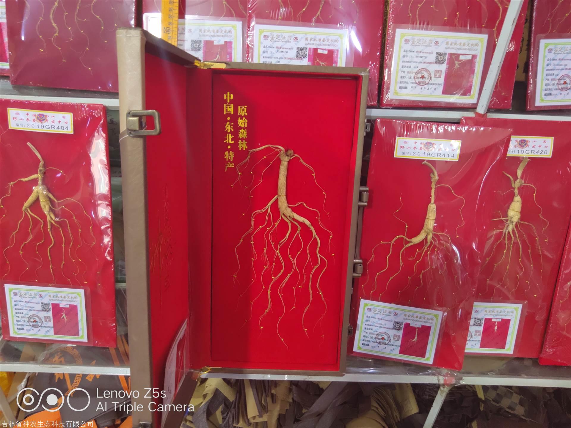 人參價格解析，市場走勢、品質(zhì)差異及影響因素深度探討