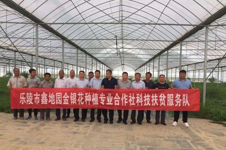 新型環(huán)剝設備，小巷中的科技新星