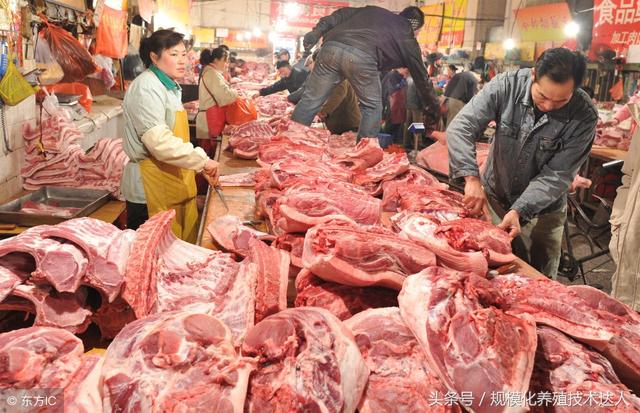 科技助力豬肉價(jià)格跟蹤，智能監(jiān)控，洞悉未來市場動(dòng)態(tài)